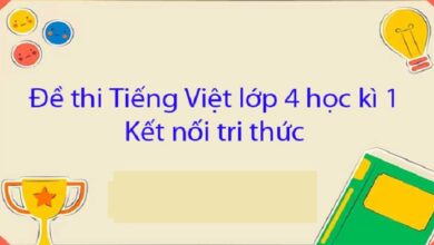 Đề Thi Học Kỳ 1 Lớp 4 Môn Tiếng Việt