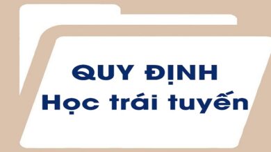 Hồ sơ nhập học lớp 1 trái tuyến