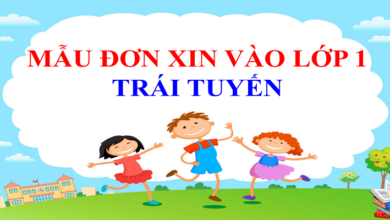 Mẫu Đơn Xin Nhập Học Lớp 1 Trái Tuyến